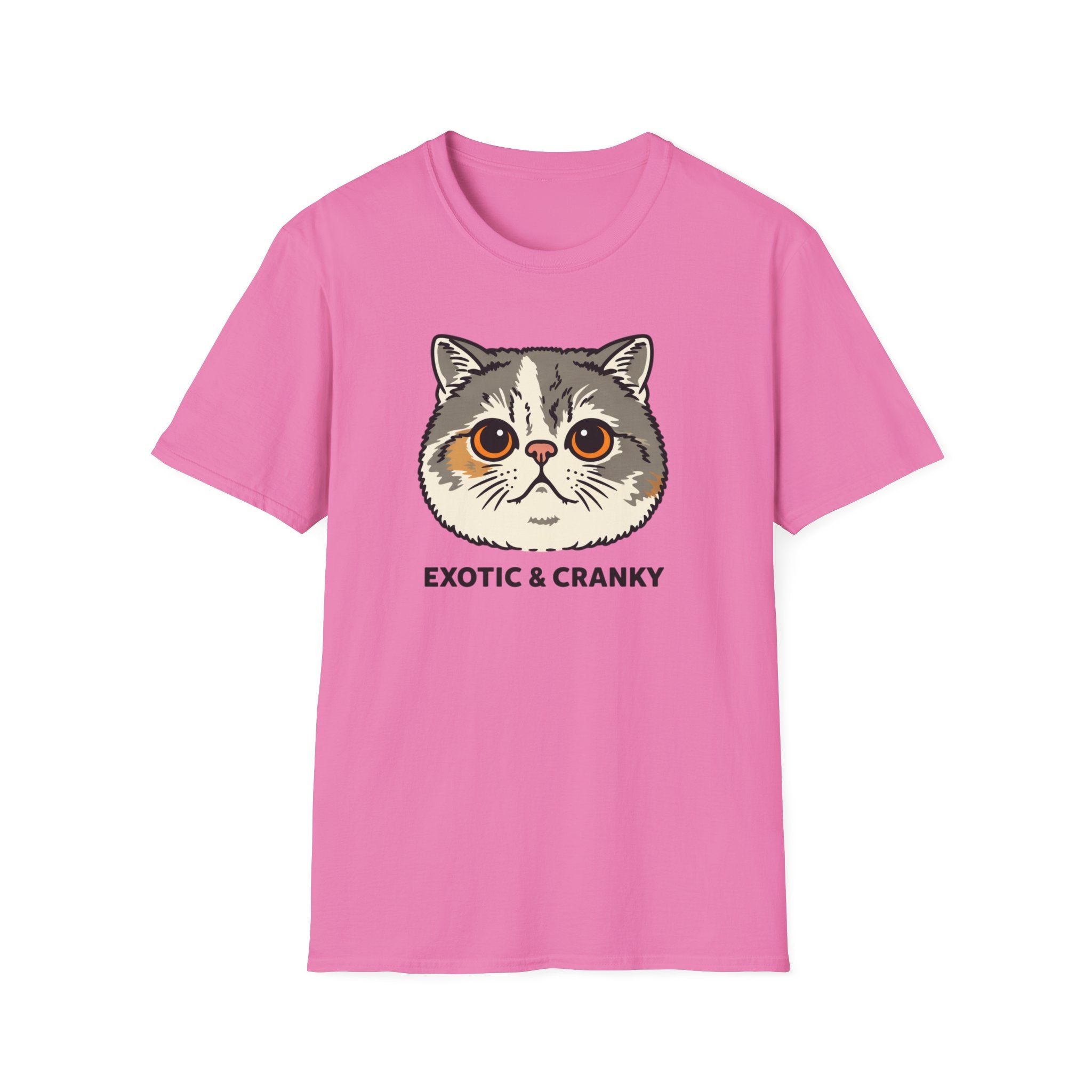 Exotic Shorthair 2  T-Shirt