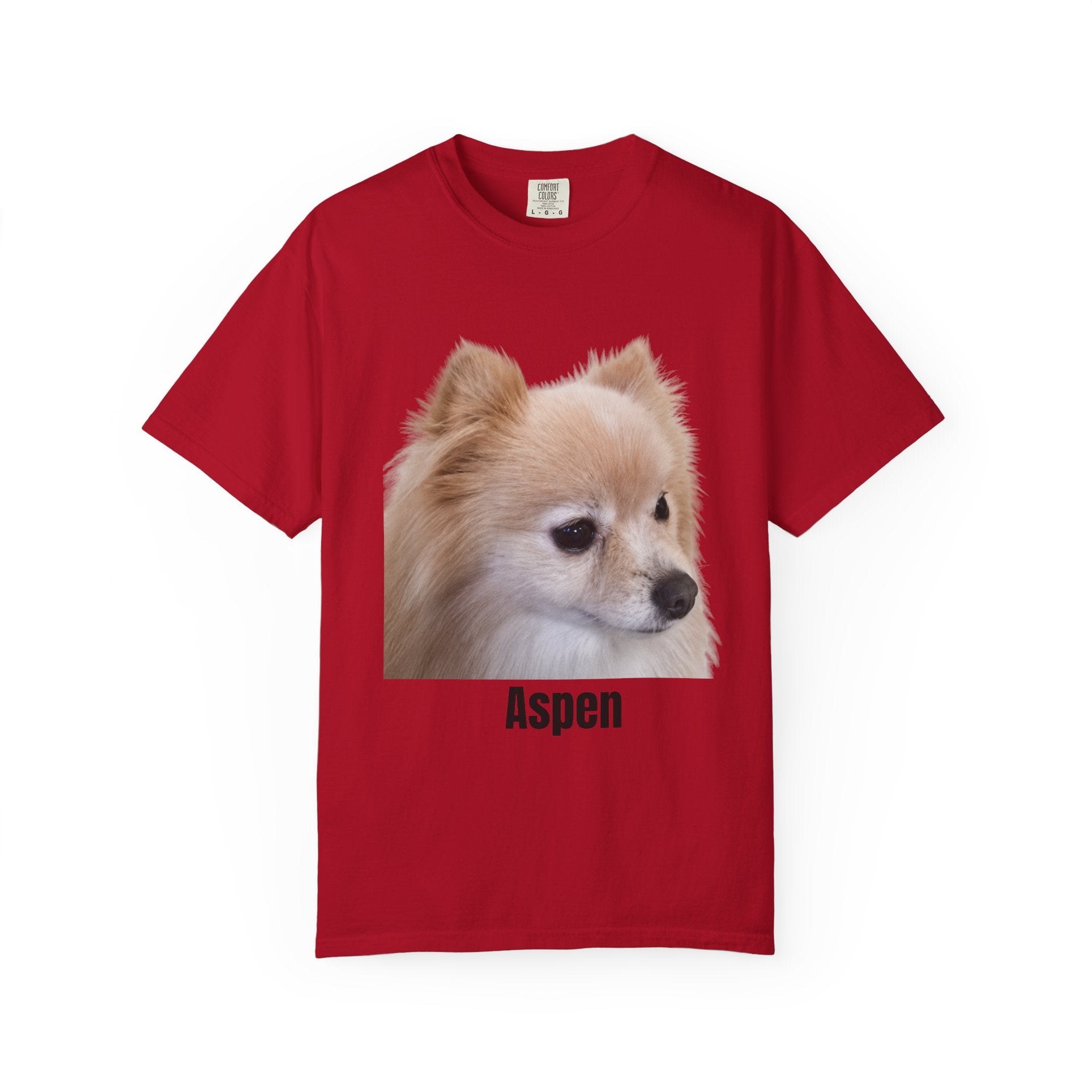Aspen 3